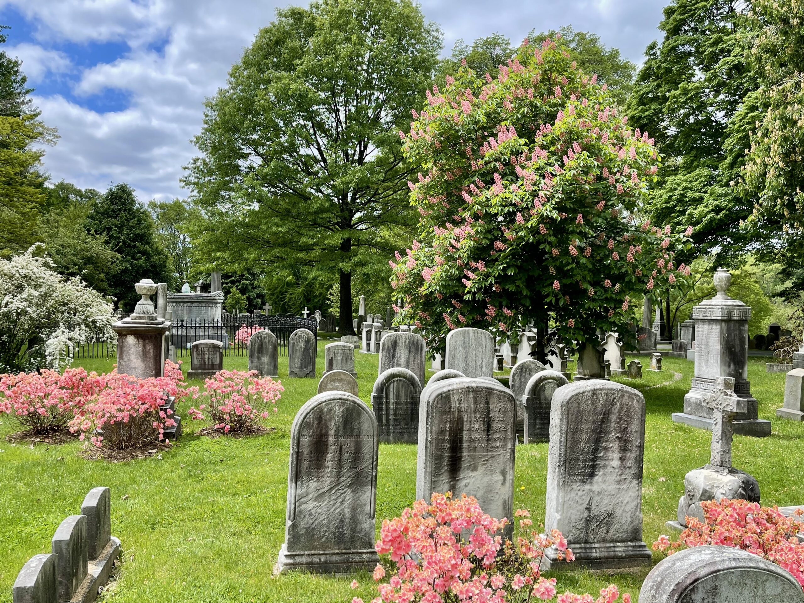 Review of Laurel Hill Cemetery  Philadelphia, Pennsylvania - AFAR