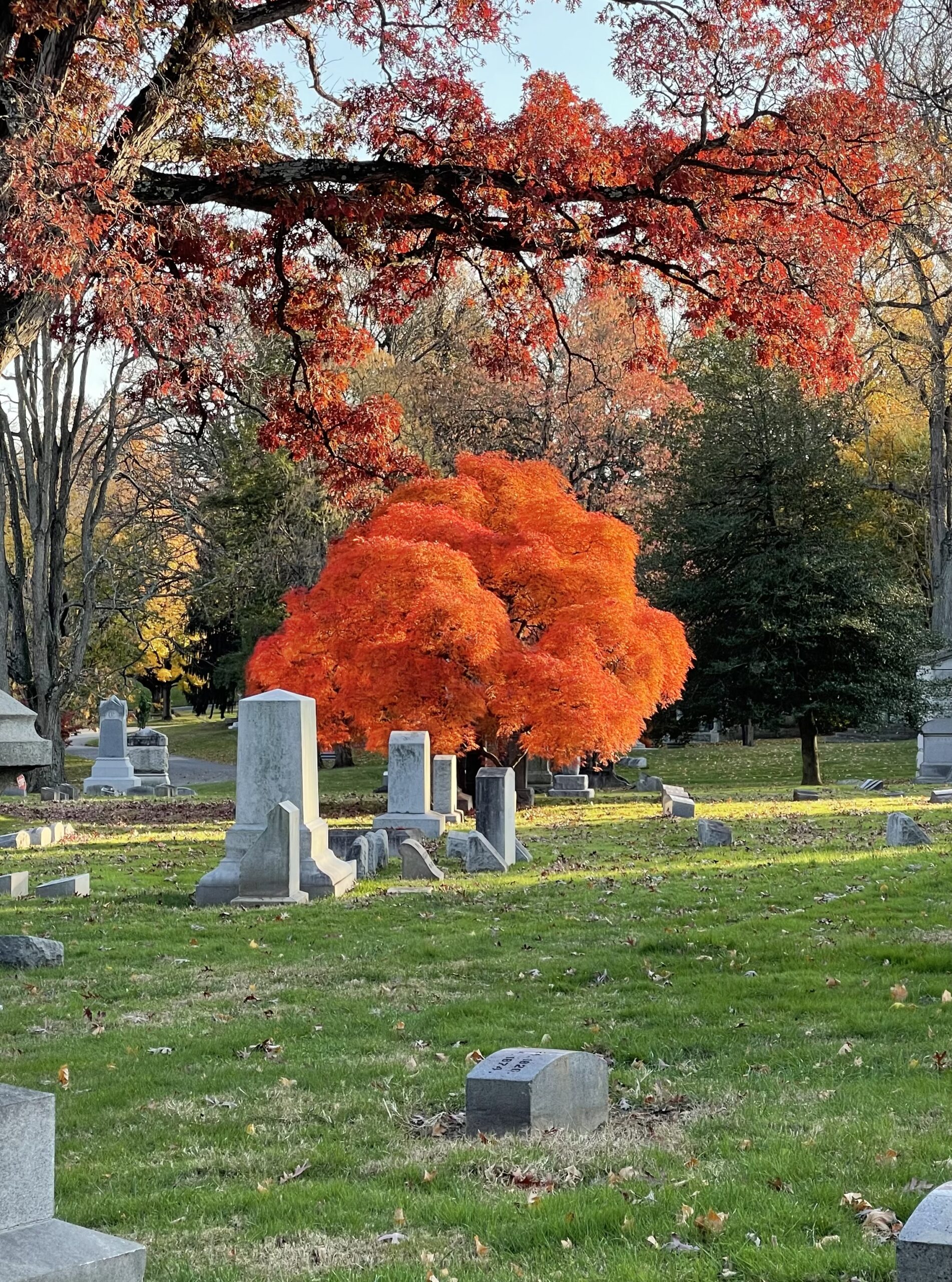 Philadelphia, PA - Laurel Hill Cemetery