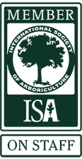 ISA Member on Staff [branded]