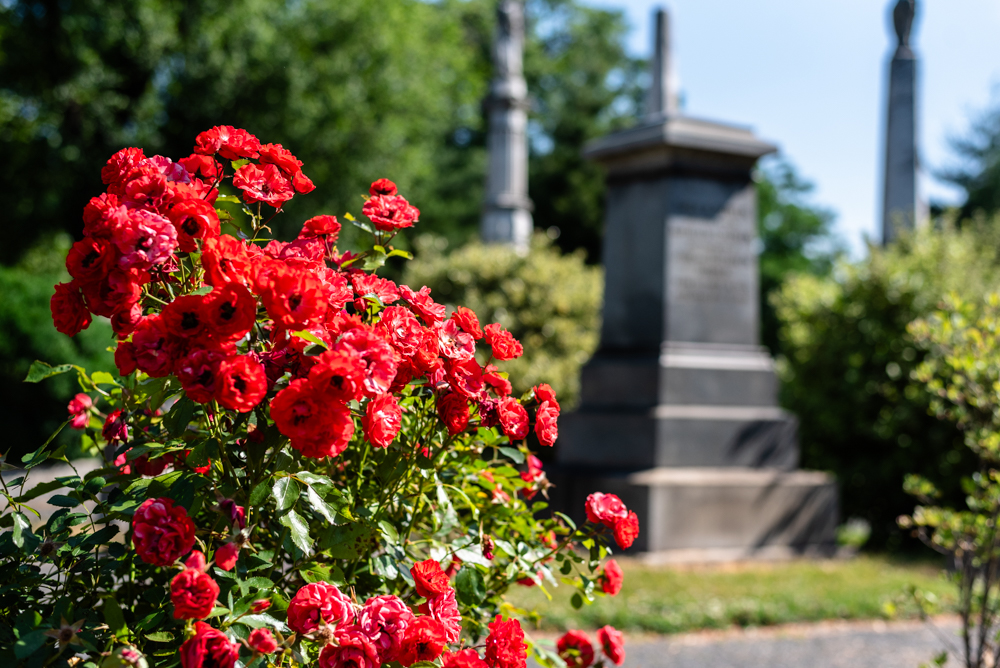 Laurel Hill Cemetery's 'Hot Spots and Storied…