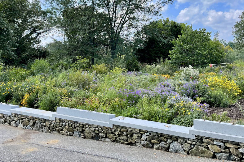 Nature's Sanctuary at Laurel Hill West